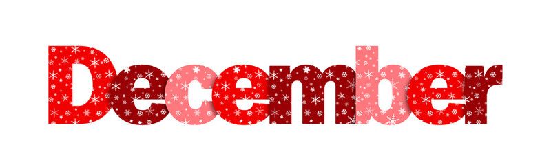 International Students - Special program - December