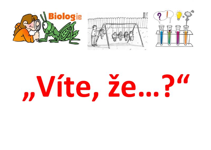 Víte že...?